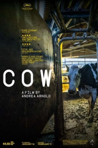 Cow (2022)